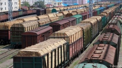 Украинские железные дороги перевезли 224, 74 млн тонн грузов