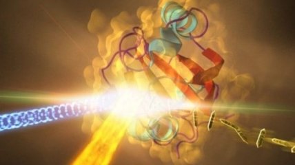 Ученые изучают реакцию белка на свет и как процесс влияет на зрение человека