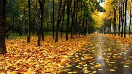 Погода в Украине 20 сентября: пасмурно, ожидаются дожди 