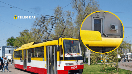 Голуб вигадав простіший спосіб пересування, ніж летіти