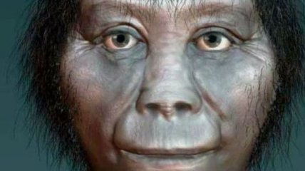Ученые опровергли популярную теорию происхождения предков людей