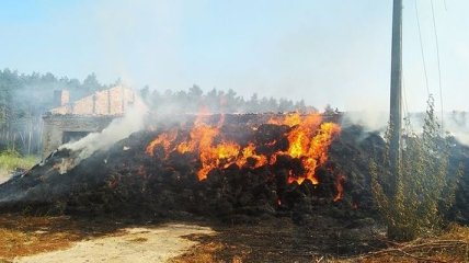 В Киевской области горела ферма