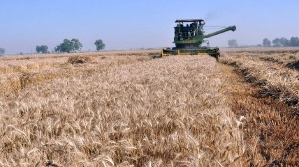 Казахстан не планирует ограничивать экспорт зерна в этом году