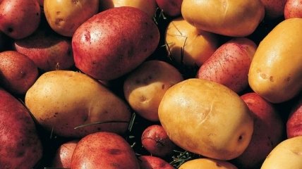 Диетологи сделали сенсационное заявление о картофеле
