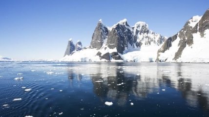 В водах Антарктиды обнаружен ряд неизвестных науке видов 