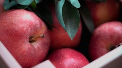 Украина побила пятилетний рекорд по экспорту яблок