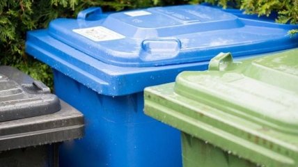 В Германии предложили отменить штраф за изъятие продуктов из мусорных баков