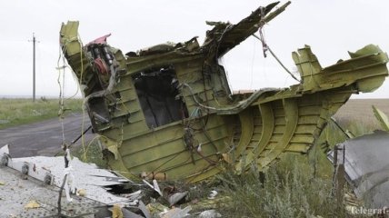 Франция предложила помощь в расследовании авиакатастрофы в Украине