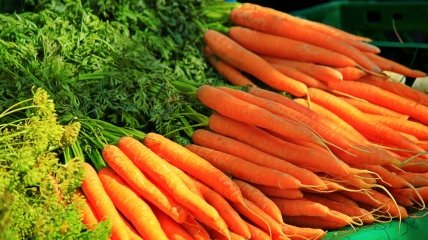 Морква – популярна городна культура