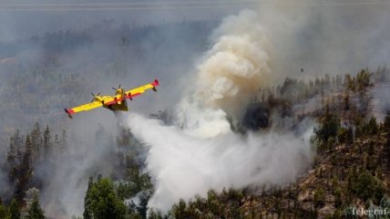 ЕС окажет помощь Португалии в борьбе с лесными пожарами