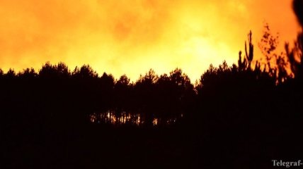 В Испании горит лес: эвакуированы более 2,5 тысячи человек