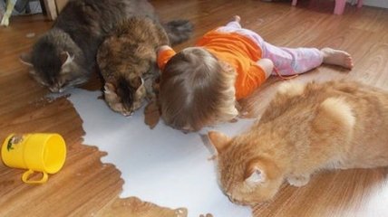 Милые детки копируют своих домашних любимцев (Фото)
