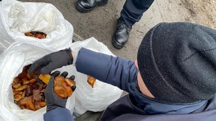 В Ровенской области поймали председателя сельсовета на перевозке янтаря
