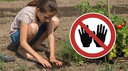 Огородные дела следует отложить на другой день