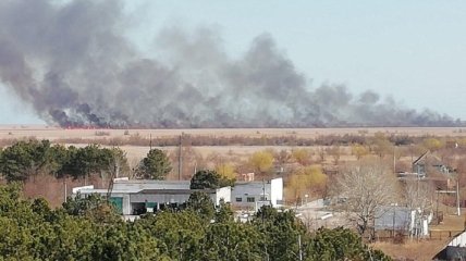 В Одесской области погашен масштабный пожар в лесном массиве 