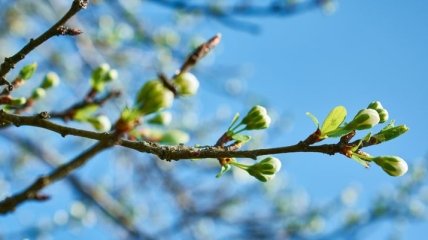 Какой праздник 2 марта: народные приметы и запреты