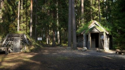 Дикий отель в лесах Швеции (Фото)