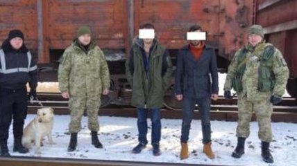 Пограничники поймали иностранцев, которые на ходу запрыгнули в грузовой поезд