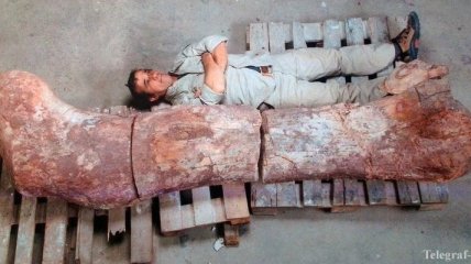 В Аргентине обнаружили кости самого большого существа, когда-либо ходившего по Земле