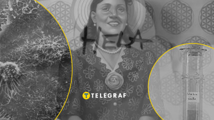 Маловідома темношкіра жінка, клітини якої досі живуть