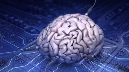Ученые научились выращивать искусственный человеческий мозг