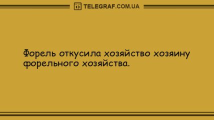 Позитивное утро: уморительные анекдоты 19 июля