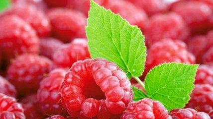 Эта ягода поможет нормализовать уровень сахара в крови