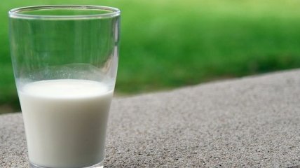 Такое ли полезное, как думаем: когда молоко вредит здоровью