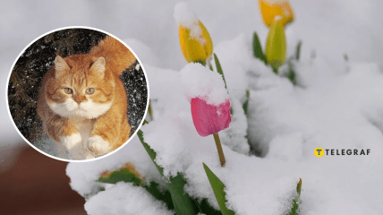 Похолодание весной