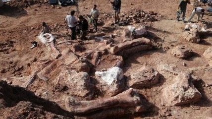 В Египте археологи обнаружили останки динозавра возрастом в 80 миллионов лет