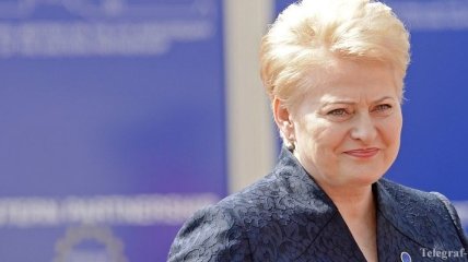 Визит в Украину президента Литвы запланирован на 24 ноября