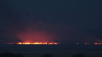 Национальный заповедник загорелся в Одесской области