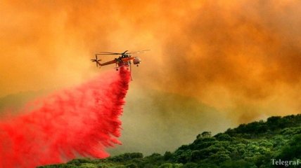 Лесной пожар в Калифорнии: число жертв возросло до 28