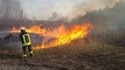 Пожары на лугах в Закарпатье угрожают лесам региона