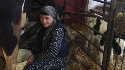 "Когда закрыли каналы Медведчука": Надежда Савченко показала, как доит коров (фото)