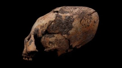 Обнаружены чрезвычайно древние "ксеноморфные" черепа