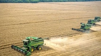 Украина в этом году экспортировала почти 24 млн тонн зерновых