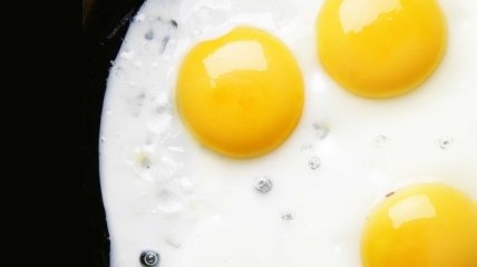 Японские генетики нашли в куриных яйцах лекарство от рака