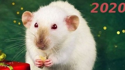 Приметы и суеверия: что нельзя делать в високосный 2020 год