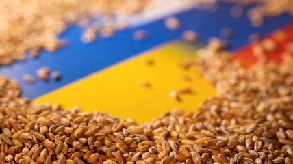 Світу потрібне українське зерно, заблоковане через війну