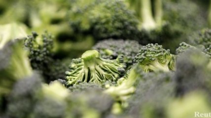 Новый сорт брокколи способствует укреплению здоровья