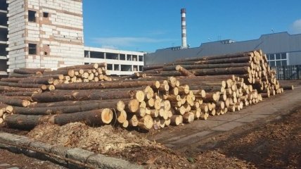 Австрия призывает Украину отменить мораторий на экспорт леса