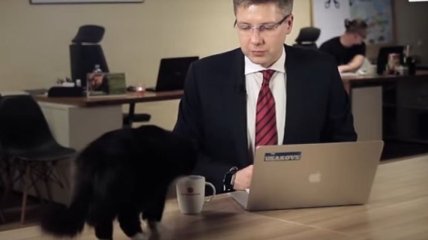 Черный кот "влез" в кадр во время официального обращения политика (Видео)
