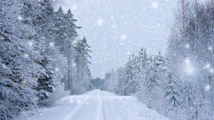 Погода в Украине 12 декабря: мокрый снег, дождь  