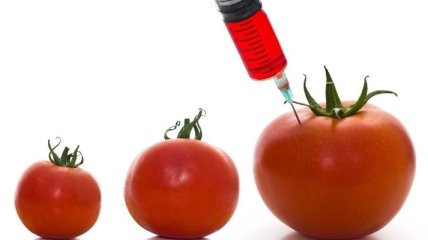 Ученые научились выращивать ГМ-овощи без косточек