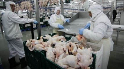 Украина улучшит качество мяса, чтобы возобновить экспорт в Казахстан