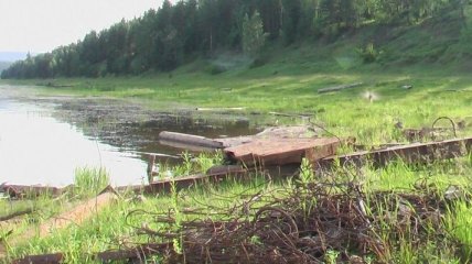 В Украине принят закон об увеличении штрафов за загрязнение лесов