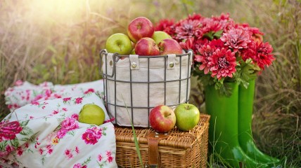 Когда отмечают Яблочный Спас в 2022 году - дата