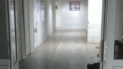 Люди лежат прямо в корридорах: видео из харьковской больницы всколыхнуло сеть 