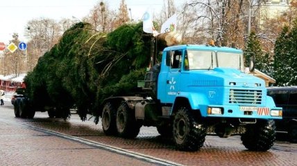 Главная новогодняя елка страны прибыла в Киев (Видео)